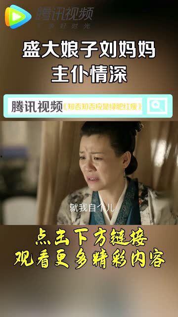 刘妈爆料故事视频大全,揭秘故事视频大全背后的精彩瞬间  第2张