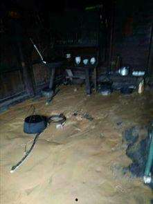 网友爆料山洪视频播放,视频记录大自然无情威力