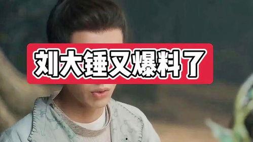 刘大锤爆料最新消息,最新热点事件内幕大揭秘！  第3张