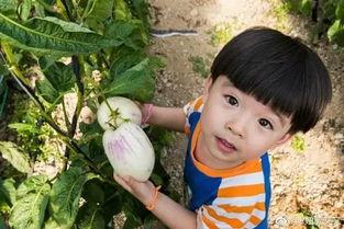木木子娱乐吃瓜,揭秘娱乐圈最新吃瓜事件，带你领略明星幕后故事  第3张