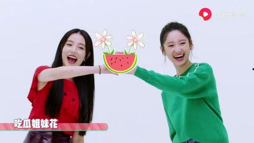 宣仪吃瓜爆料视频大全最新,揭秘娱乐圈幕后真相  第3张