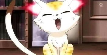 娱乐吃瓜酱长矛老师,娱乐吃瓜界的翘楚，揭秘娱乐圈幕后风云  第2张